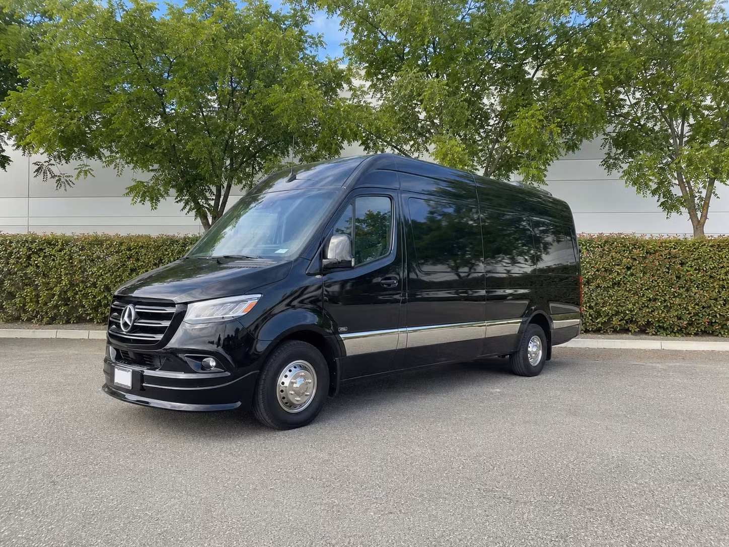 sprinter van with driver