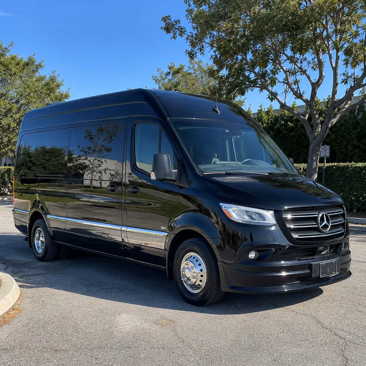 staten island sprinter limo rental